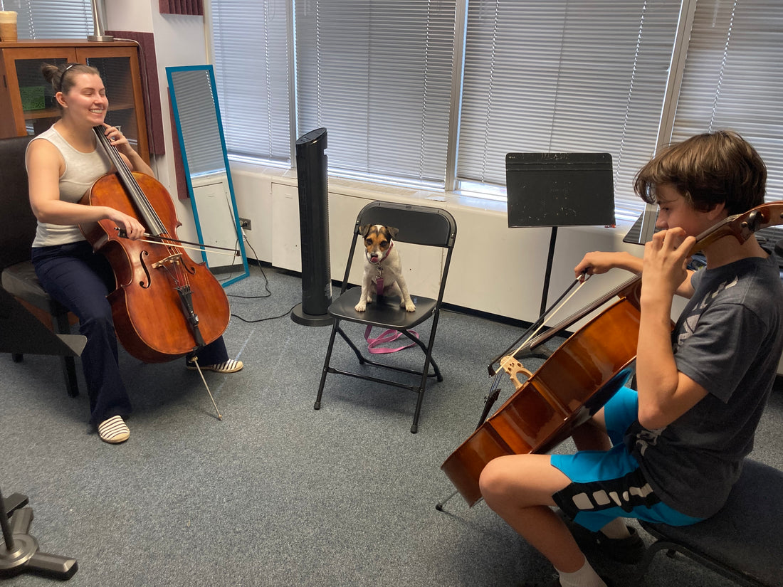 Zach Bye, Cello Student Extraordinaire!