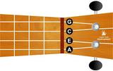 What types of Ukuleles Are There?